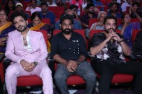 Tillu Square Movie Success Meet Photos